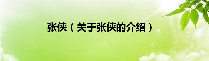 张侠（关于张侠的介绍）