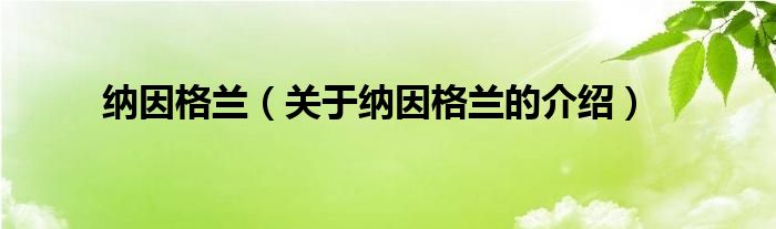 纳因格兰（关于纳因格兰的介绍）