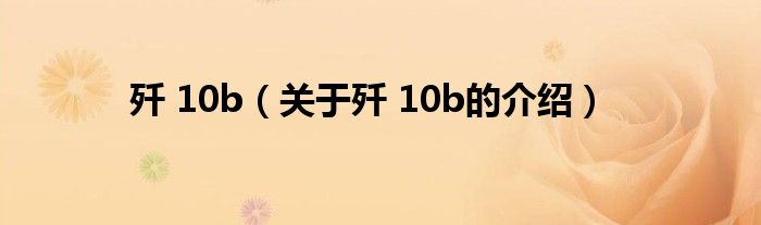 歼 10b（关于歼 10b的介绍）