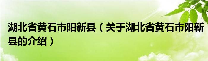 湖北省黄石市阳新县（关于湖北省黄石市阳新县的介绍）