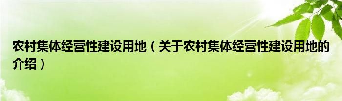 农村集体经营性建设用地（关于农村集体经营性建设用地的介绍）