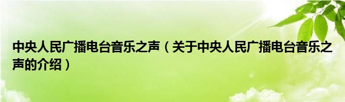 中央人民广播电台音乐之声（关于中央人民广播电台音乐之声的介绍）