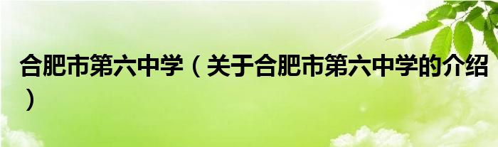 合肥市第六中学（关于合肥市第六中学的介绍）