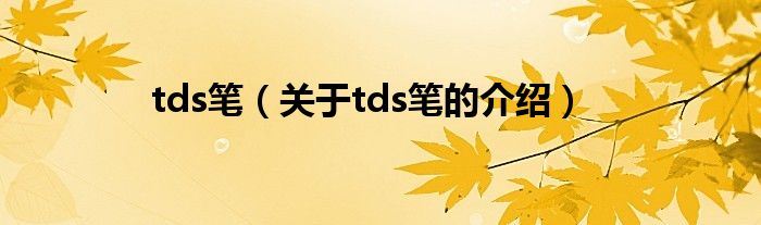 tds笔（关于tds笔的介绍）