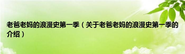 老爸老妈的浪漫史第一季（关于老爸老妈的浪漫史第一季的介绍）