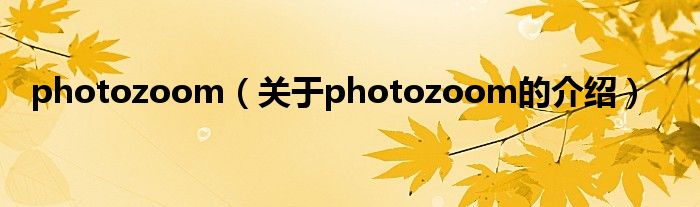 photozoom（关于photozoom的介绍）