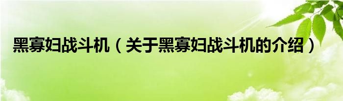 黑寡妇战斗机（关于黑寡妇战斗机的介绍）