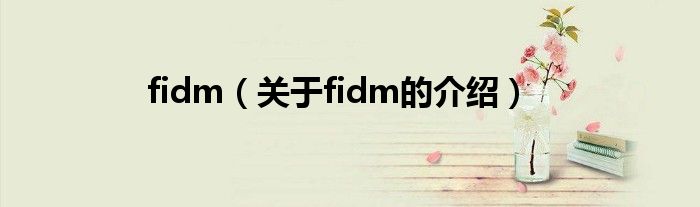 fidm（关于fidm的介绍）