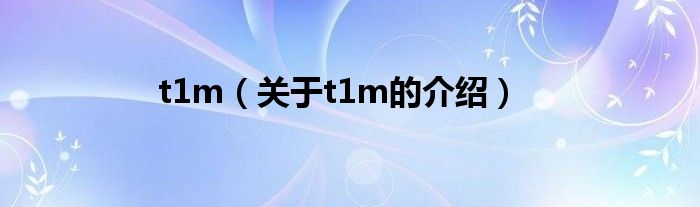 t1m（关于t1m的介绍）