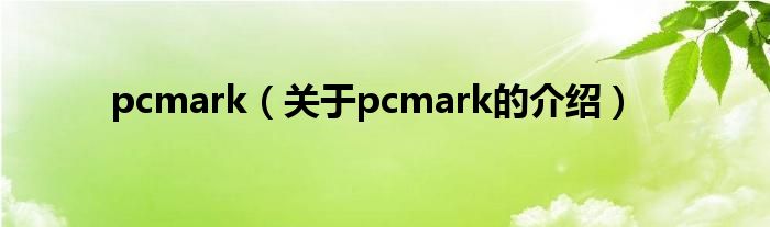 pcmark（关于pcmark的介绍）