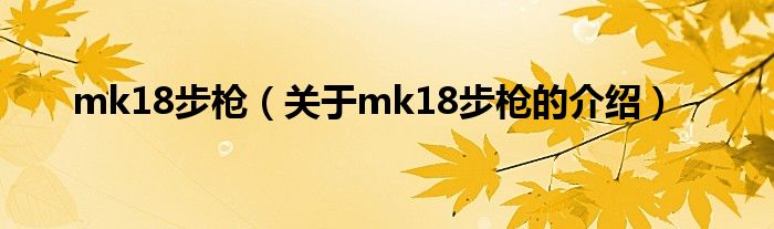 mk18步枪（关于mk18步枪的介绍）