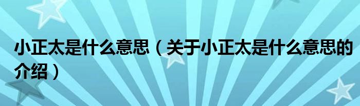 小正太是什么意思（关于小正太是什么意思的介绍）