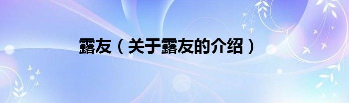 露友（关于露友的介绍）