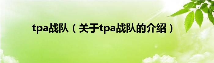 tpa战队（关于tpa战队的介绍）