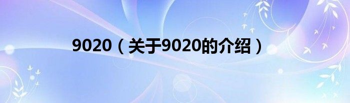 9020（关于9020的介绍）