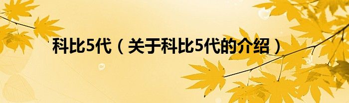 科比5代（关于科比5代的介绍）