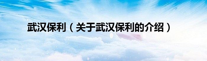 武汉保利（关于武汉保利的介绍）