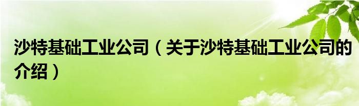 沙特基础工业公司（关于沙特基础工业公司的介绍）