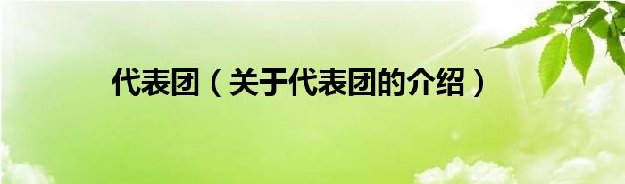 代表团（关于代表团的介绍）