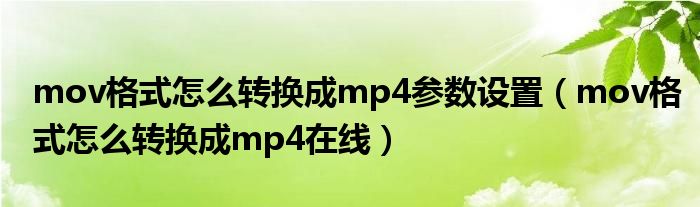 mov格式怎么转换成mp4参数设置（mov格式怎么转换成mp4在线）