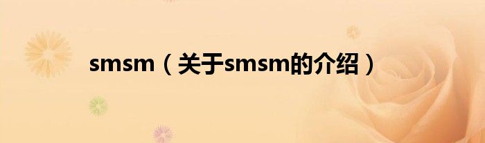 smsm（关于smsm的介绍）