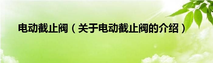 电动截止阀（关于电动截止阀的介绍）