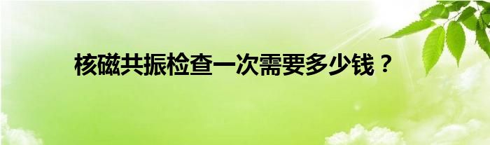 核磁共振检查一次需要多少钱？