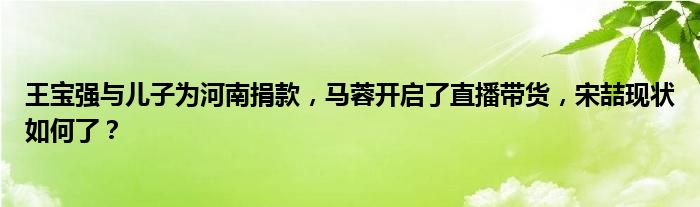 王宝强与儿子为河南捐款，马蓉开启了直播带货，宋喆现状如何了？