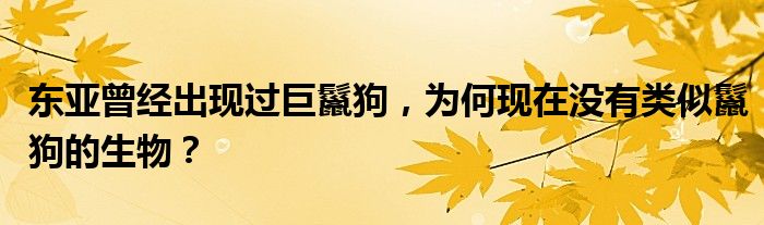 东亚曾经出现过巨鬣狗，为何现在没有类似鬣狗的生物？