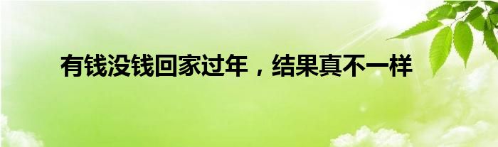 有钱没钱回家过年，结果真不一样