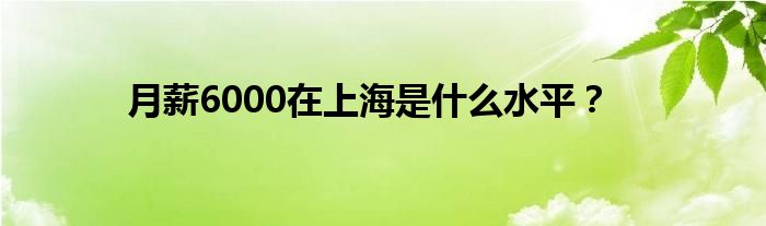 月薪6000在上海是什么水平？