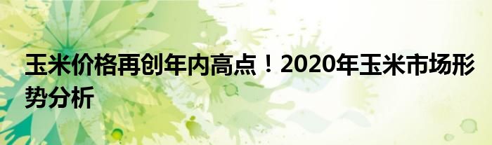 玉米价格再创年内高点！2020年玉米市场形势分析