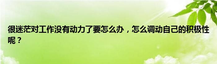 很迷茫对工作没有动力了要怎么办，怎么调动自己的积极性呢？