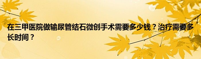 在三甲医院做输尿管结石微创手术需要多少钱？治疗需要多长时间？