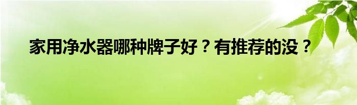 家用净水器哪种牌子好？有推荐的没？