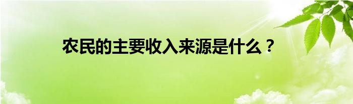 农民的主要收入来源是什么？