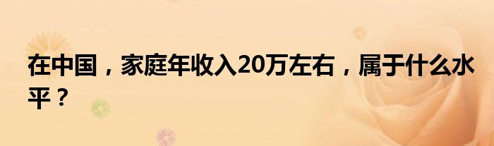 在中国，家庭年收入20万左右，属于什么水平？