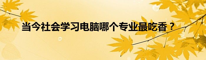 当今社会学习电脑哪个专业最吃香？