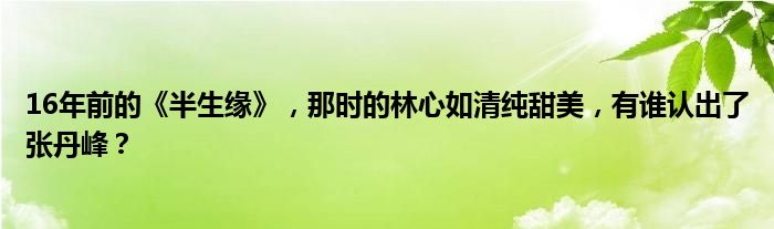 16年前的《半生缘》，那时的林心如清纯甜美，有谁认出了张丹峰？