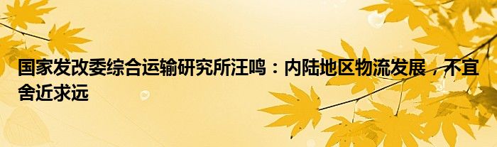 国家发改委综合运输研究所汪鸣：内陆地区物流发展，不宜舍近求远