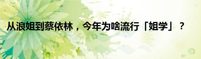 从浪姐到蔡依林，今年为啥流行「姐学」？