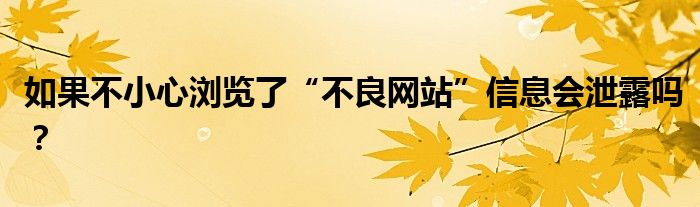 如果不小心浏览了“不良网站”信息会泄露吗？