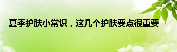 夏季护肤小常识，这几个护肤要点很重要