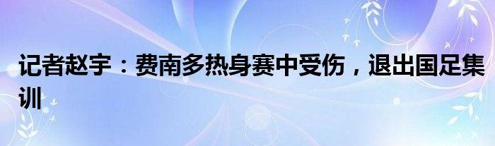 记者赵宇：费南多热身赛中受伤，退出国足集训