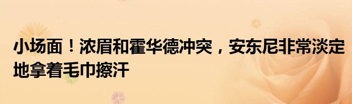 小场面！浓眉和霍华德冲突，安东尼非常淡定地拿着毛巾擦汗