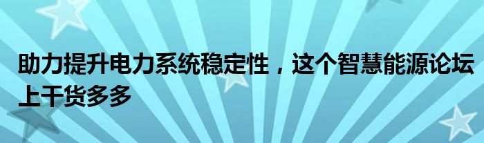 助力提升电力系统稳定性，这个智慧能源论坛上干货多多