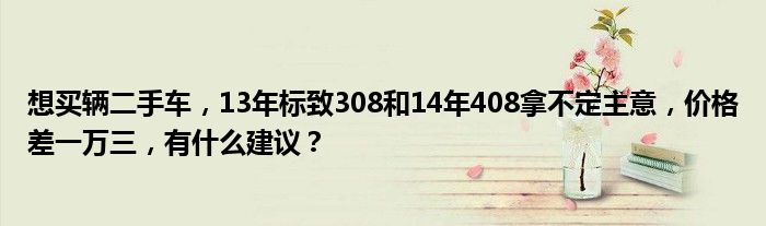 想买辆二手车，13年标致308和14年408拿不定主意，价格差一万三，有什么建议？