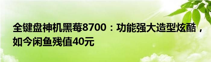 全键盘神机黑莓8700：功能强大造型炫酷，如今闲鱼残值40元