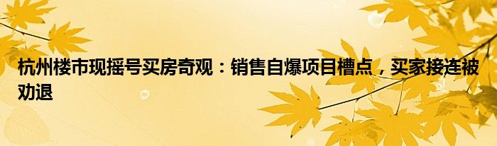 杭州楼市现摇号买房奇观：销售自爆项目槽点，买家接连被劝退