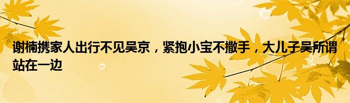 谢楠携家人出行不见吴京，紧抱小宝不撒手，大儿子吴所谓站在一边